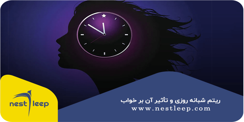 چرا زمان خواب اهمیت دارد؟ 2 ریتم شبانه روزی و تأثیر آن بر خواب